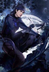 夜色盛宴